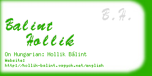 balint hollik business card