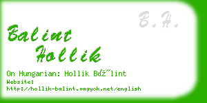 balint hollik business card